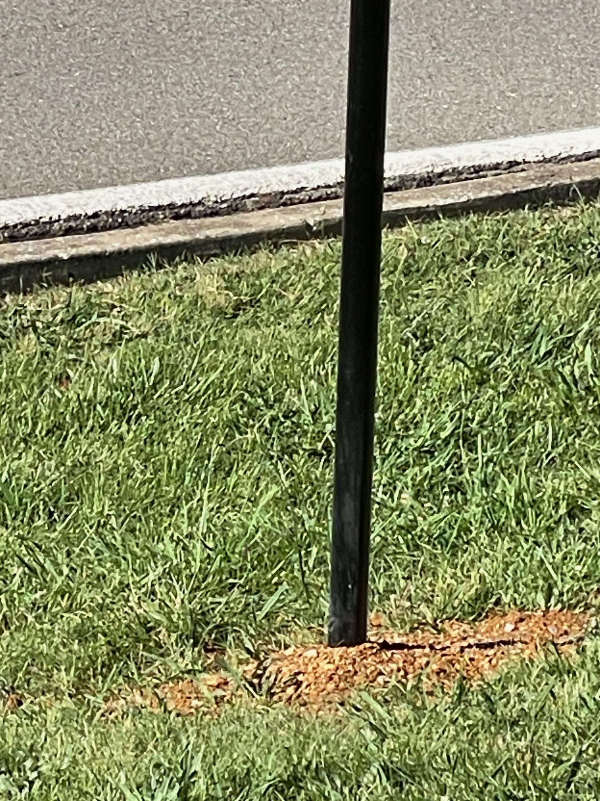 Base of a Flock Safety camera pole on Foothills Mall Drive showing no visible breakaway slip plate or crash-rated base